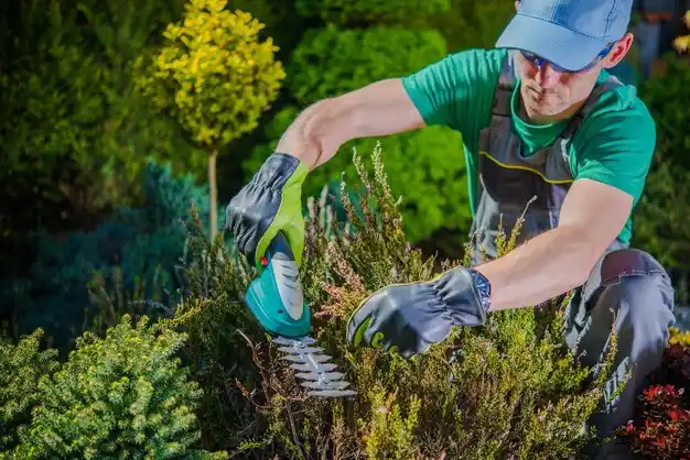 landscaping services Wallace Ridge